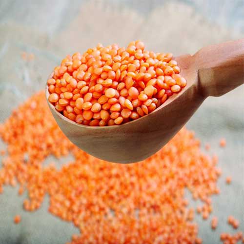 red lentil